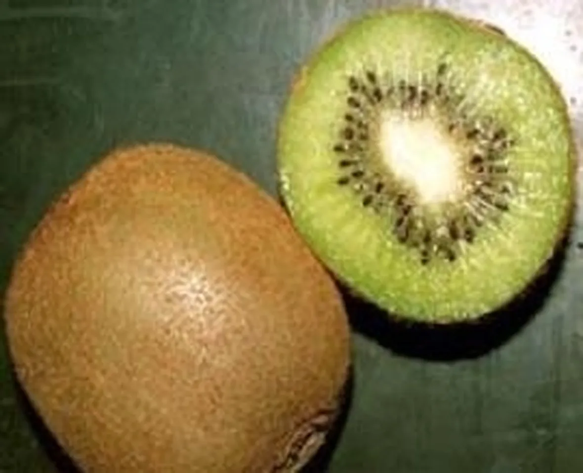 Risposta : fiori del kiwi