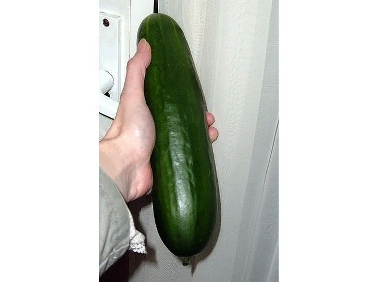 Cetriolo-14