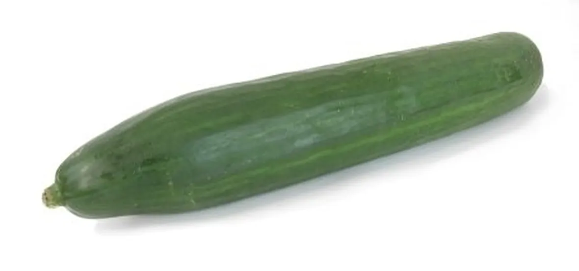 Cetriolo-15