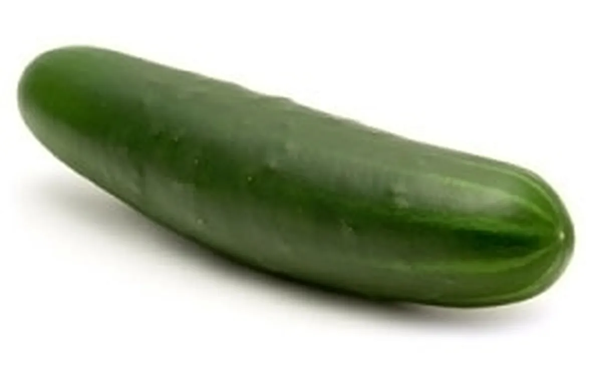 Cetriolo-20