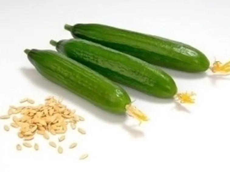 Cetriolo-25