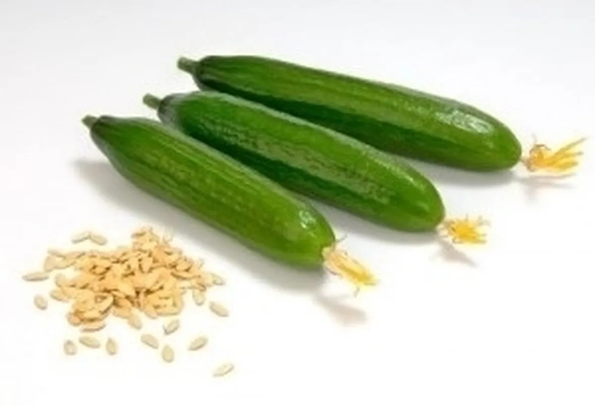 Cetriolo-25