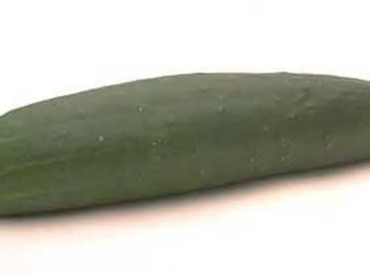 Cetriolo-29