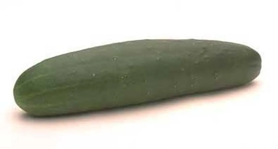 Cetriolo-29