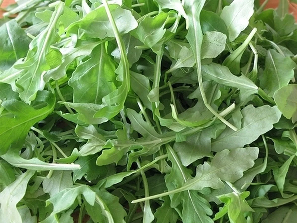 Esposizione e terreno rucola