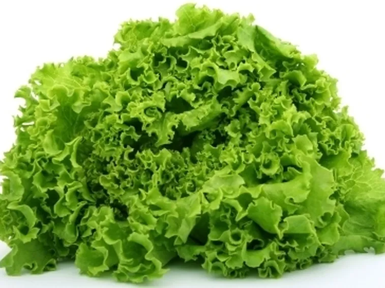 insalata-17