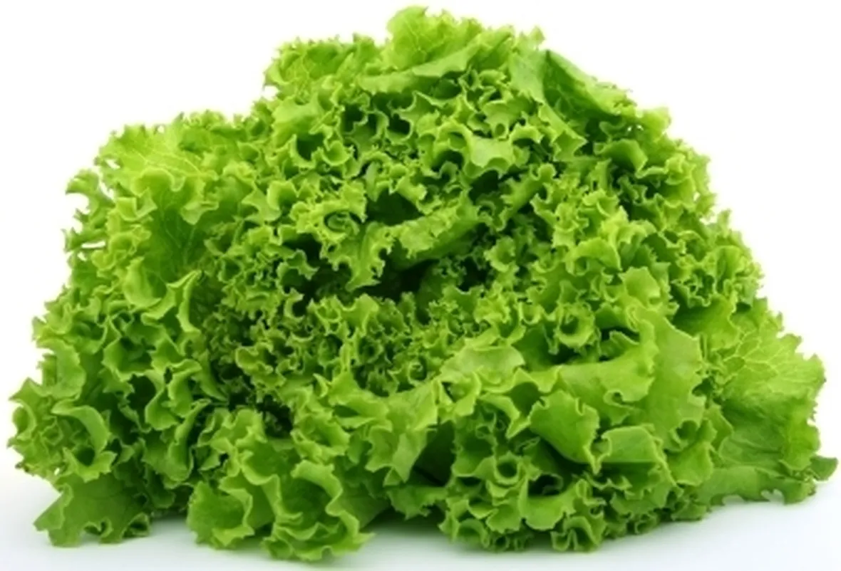 insalata-17