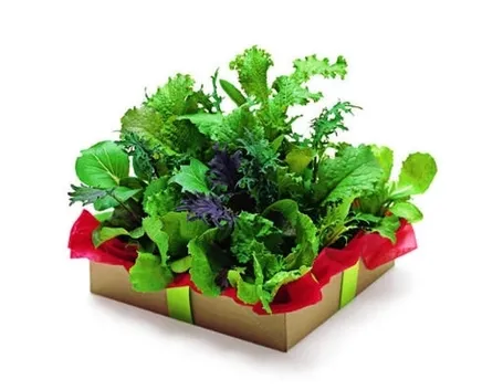 insalata-27