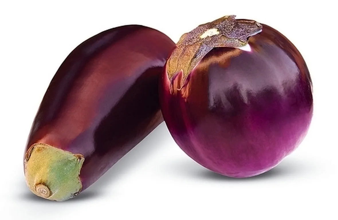Melanzana-19