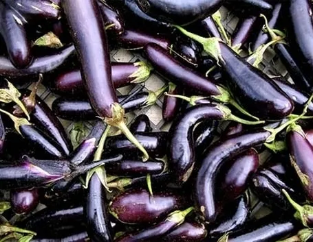 Melanzana