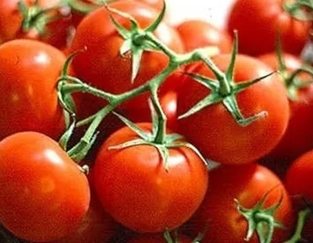 Pomodoro-29