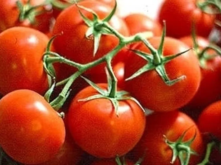 Pomodoro-29
