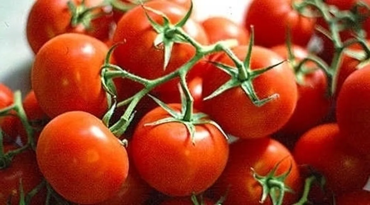 Pomodoro-29