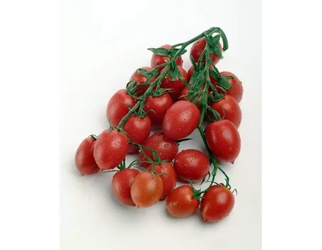 Pomodoro giallo