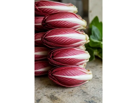 Produzione del radicchio