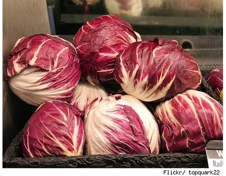 Radicchio-12