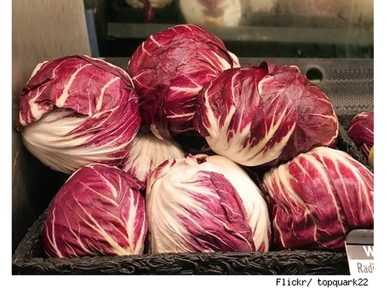 Radicchio-12