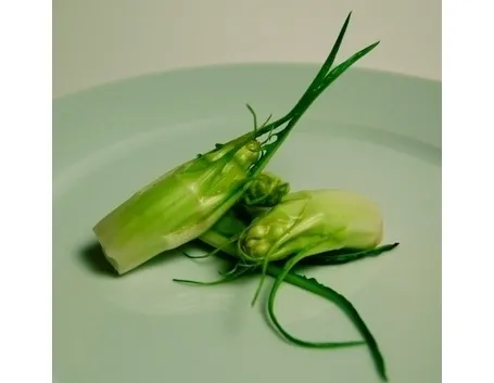 Radicchio-15