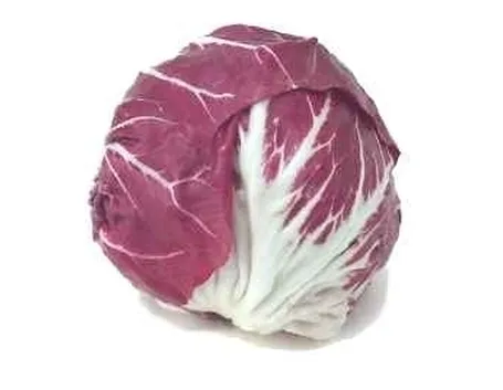 Radicchio-25