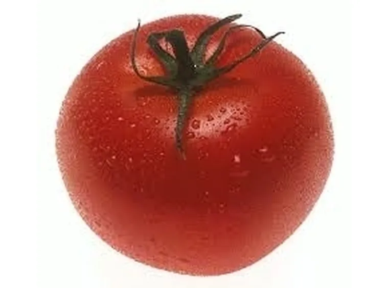 Risposta : Malattia pomodoro