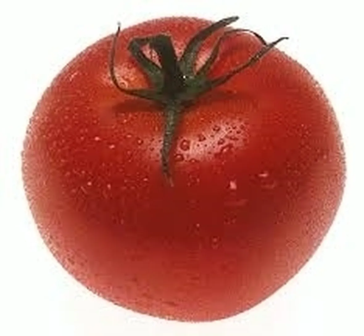 Risposta : Malattia pomodoro