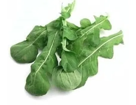 Rucola-11