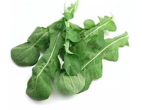 Rucola-12