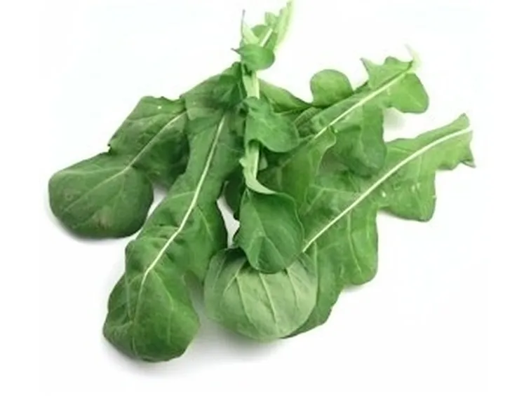 Rucola-12