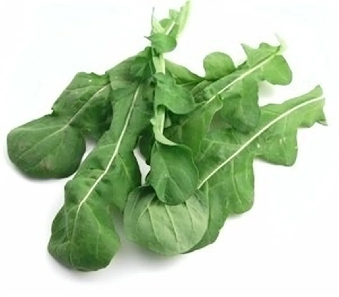 Rucola-12