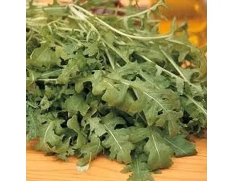 Rucola-14