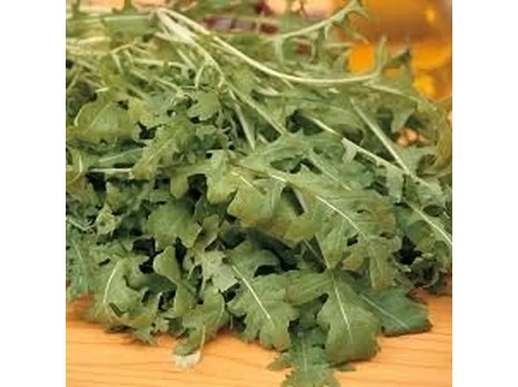 Rucola-14
