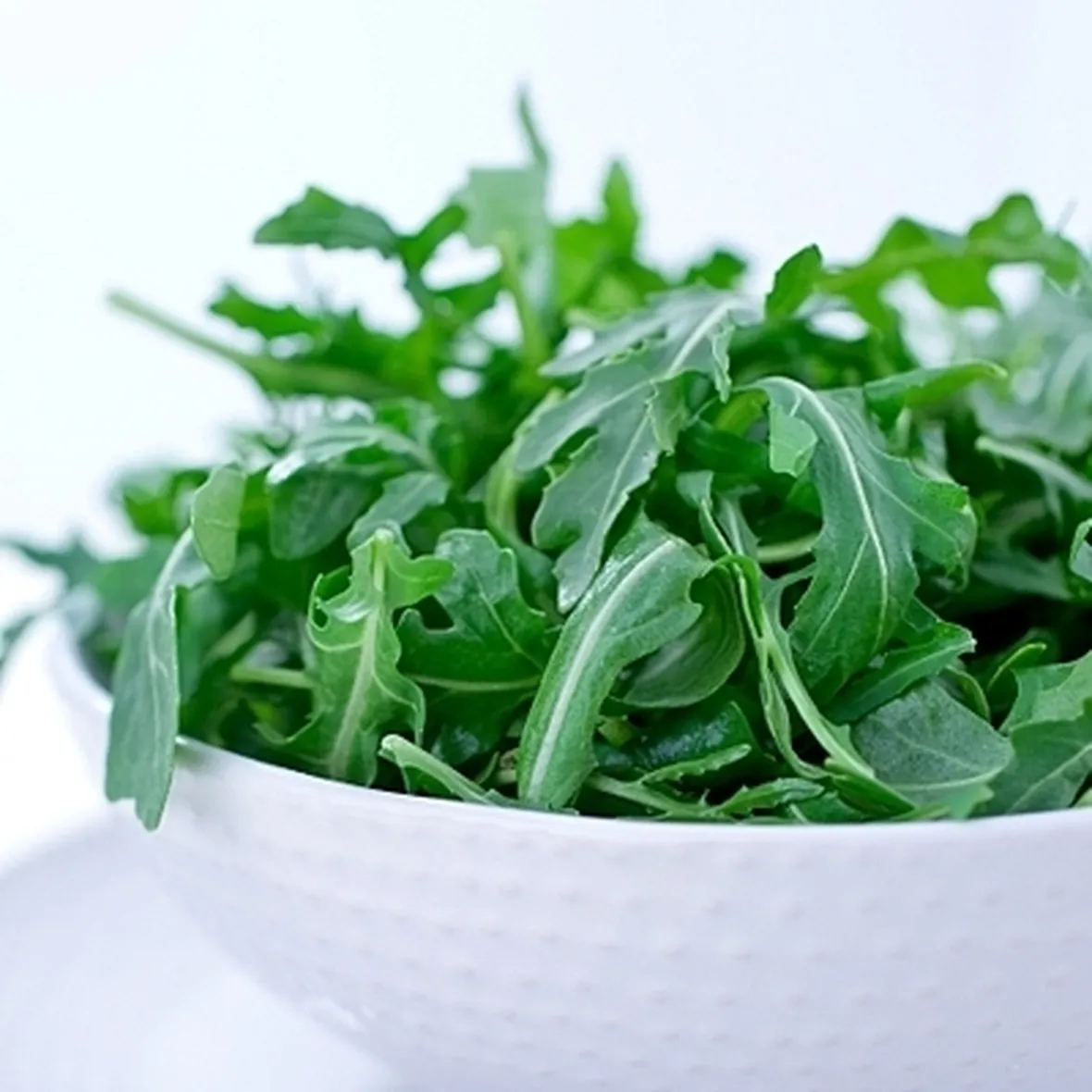 Rucola-8