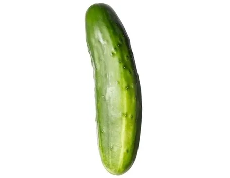 Semina cetriolo
