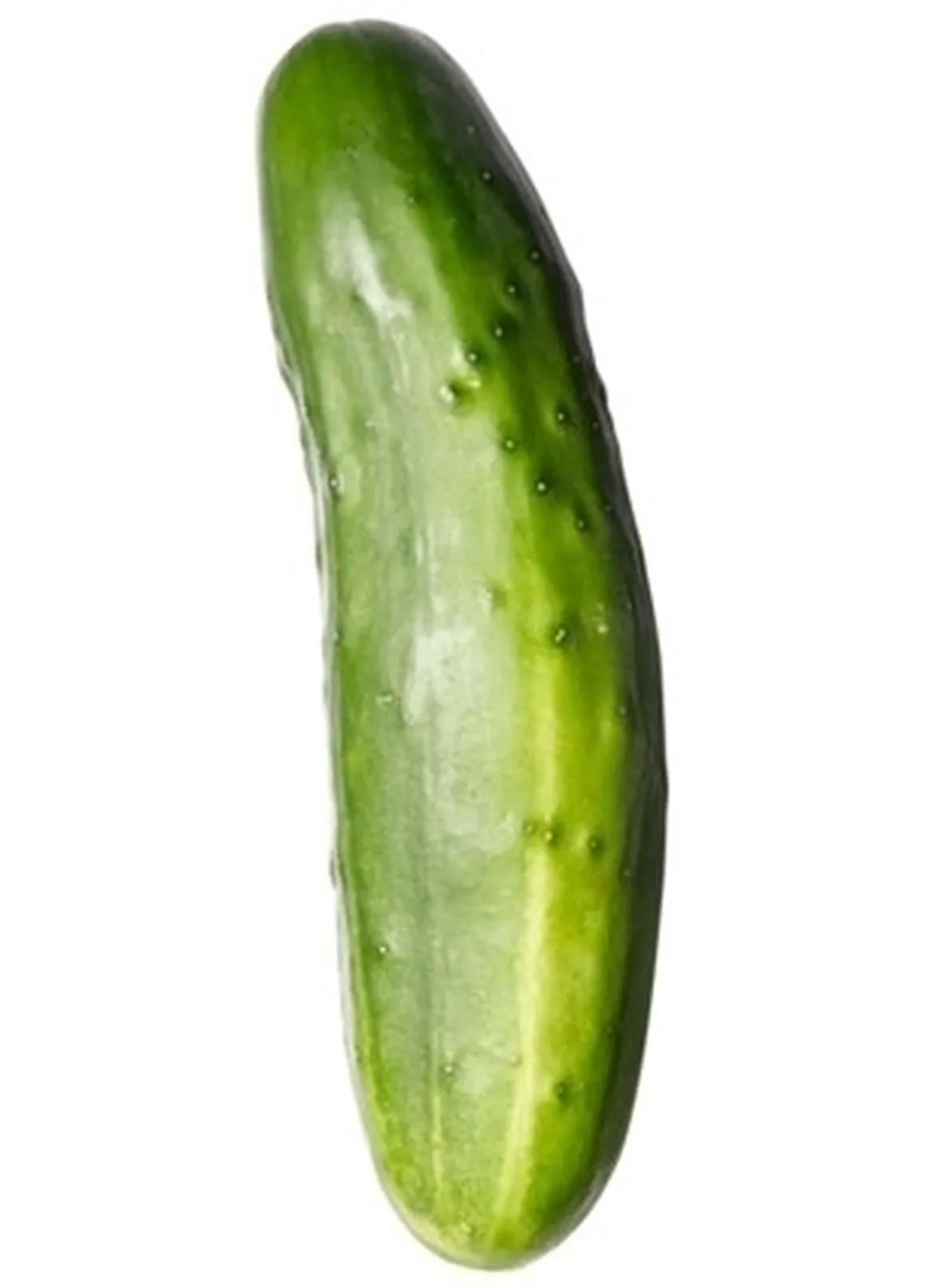 Semina cetriolo