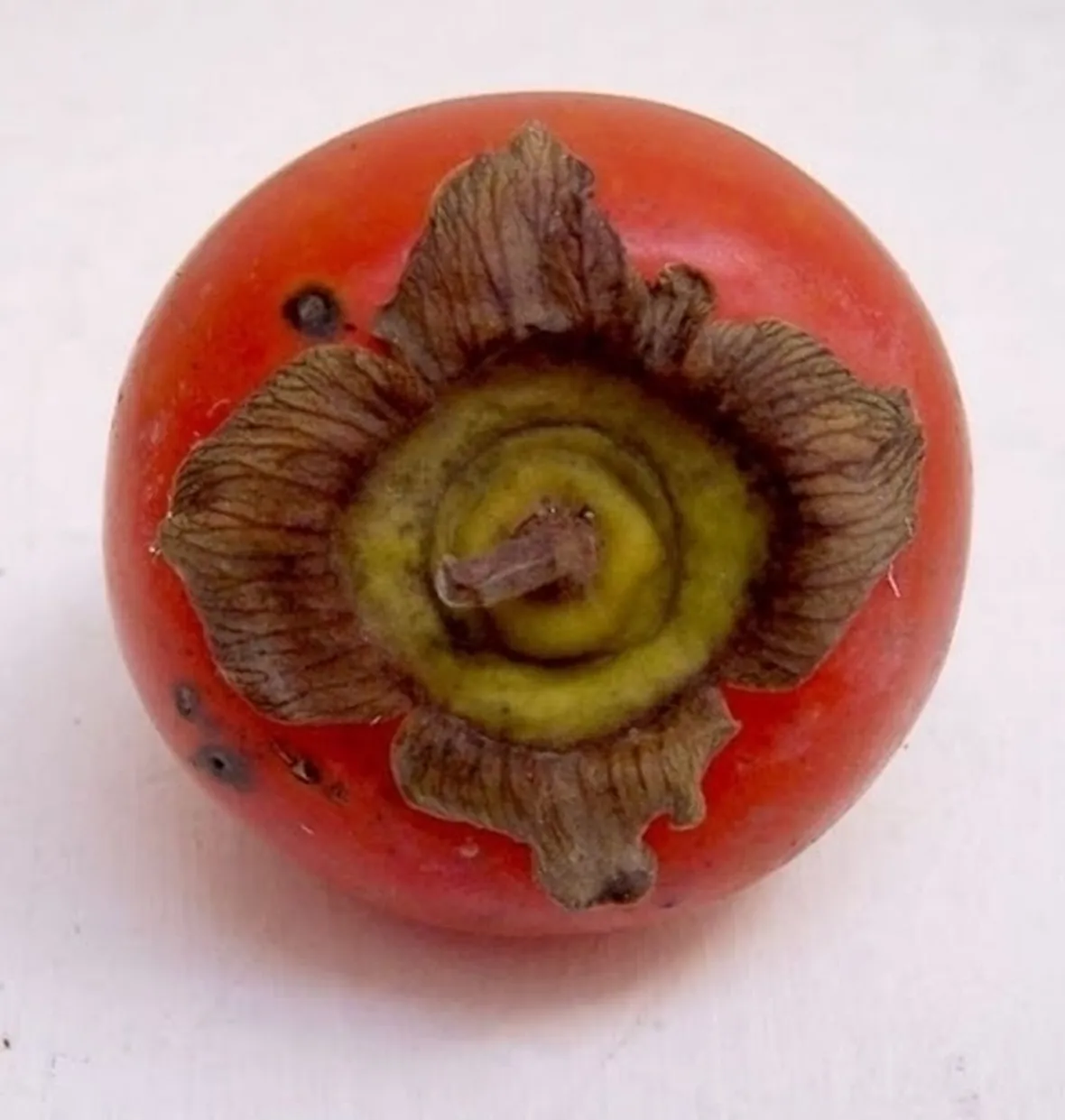 Caratteristiche dei kaki