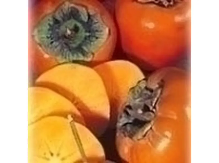 Il frutto di kaki