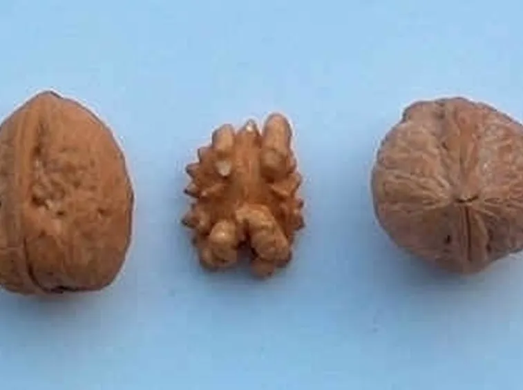 La noce moscata in cucina