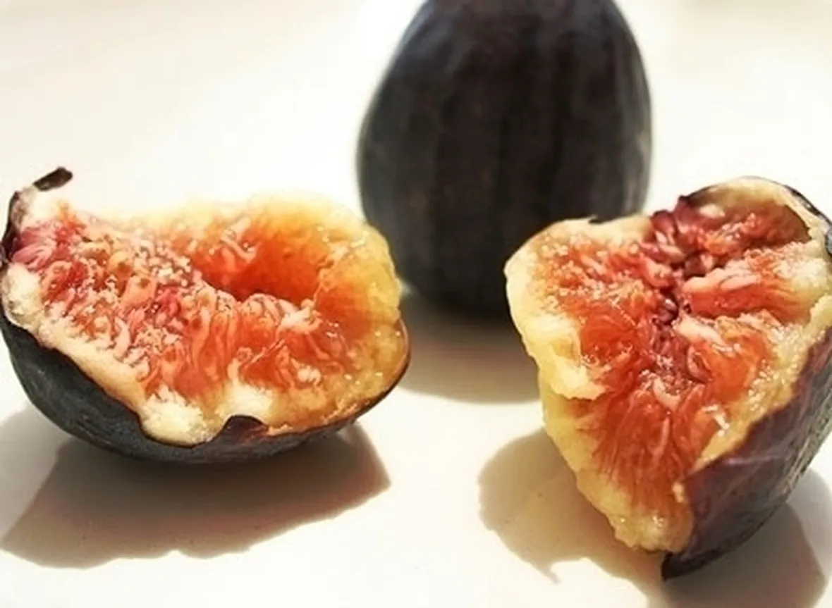 Terriccio specifico prodotto per l'orto