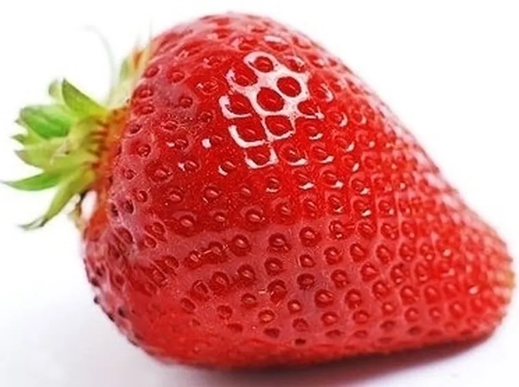 Coltivazione fragola