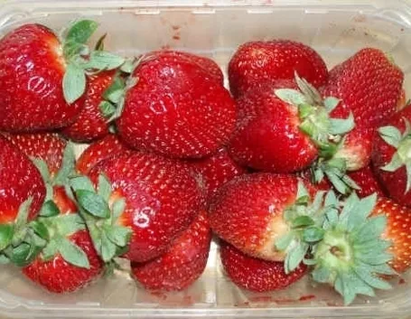 Come coltivare l'uva fragola
