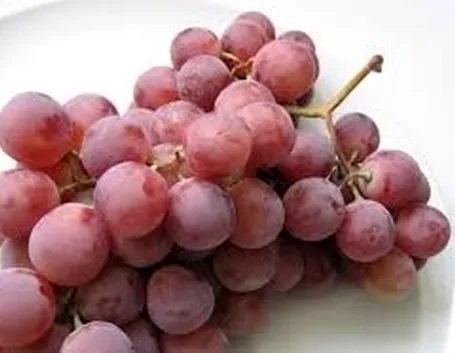 Quanto annaffiare l'uva spina