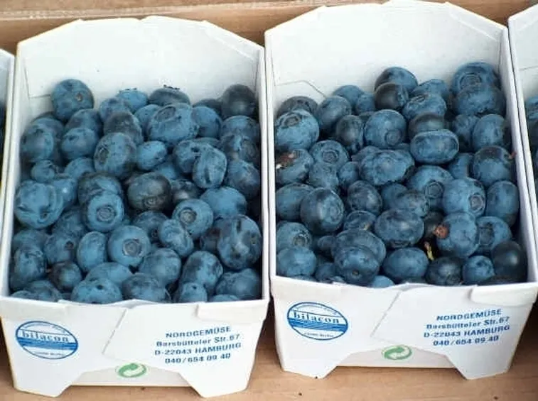 Succo di mirtillo nero