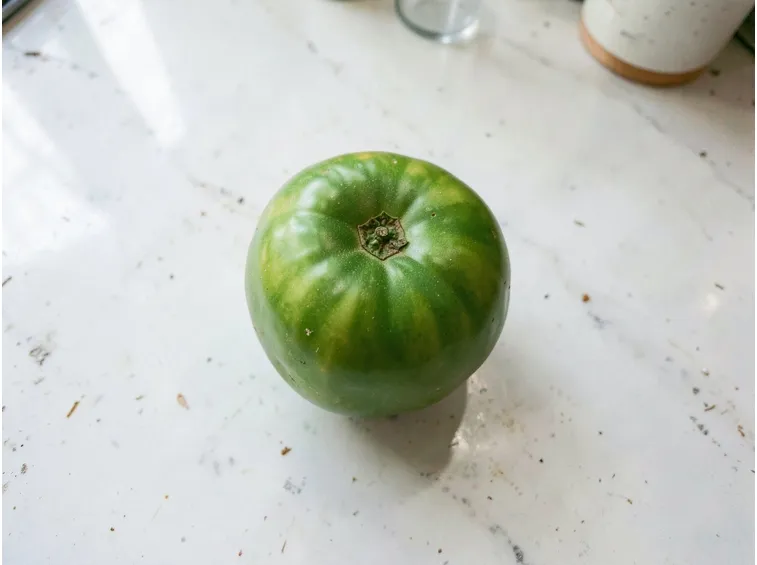 Quali pomodori verdi raccogliere e quando staccarli
