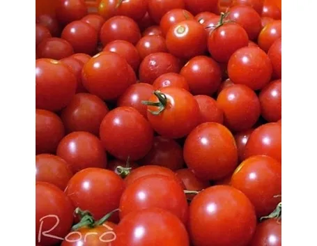 pomodoro malattie