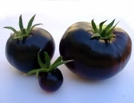 pomodoro nero-3