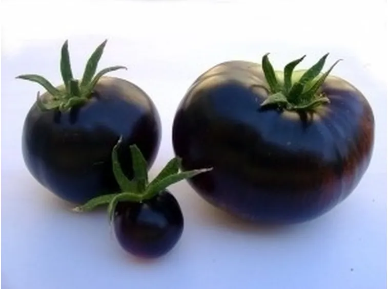 pomodoro nero-3