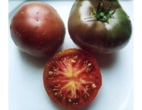 pomodoro nero-5