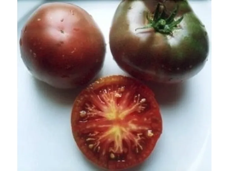 pomodoro nero-5