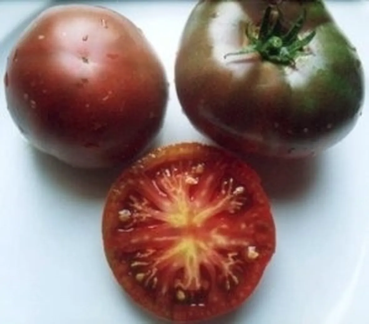 pomodoro nero-5