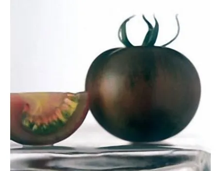 pomodoro nero-9